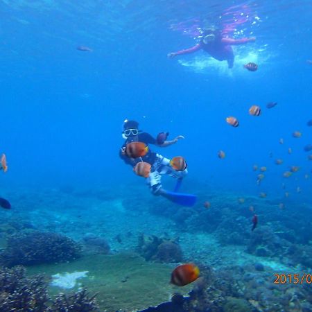 Yudis Homestay Toyapakeh المظهر الخارجي الصورة